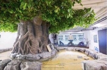 The Marine Science Center: touch pools beneath a sculpted tree, with aquariums behind
